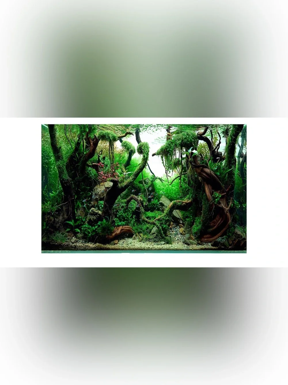 Riivdise Aquarium Background Vinyl 36x18 Fish Tank Backdrop